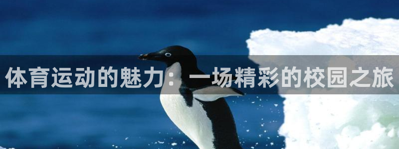 betway西汉姆官网