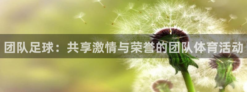 betway西汉姆联