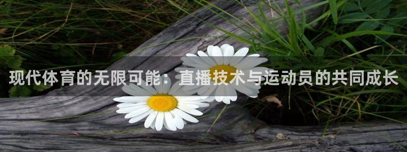 betway西汉姆联官网