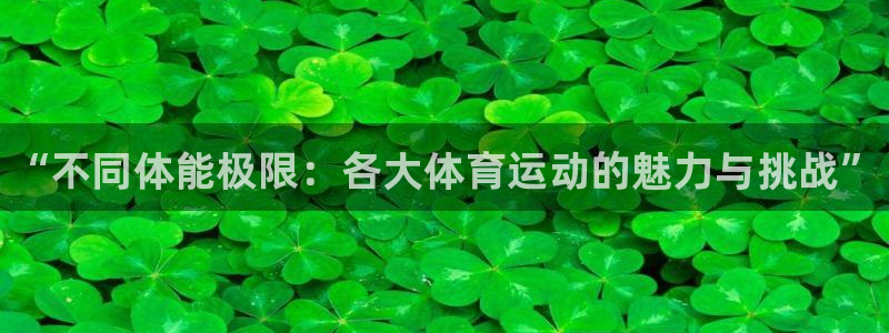 必威betway西汉姆联