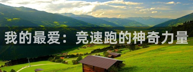 必威betway西汉姆联
