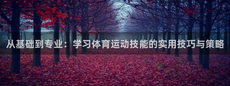 必威betway西汉姆联