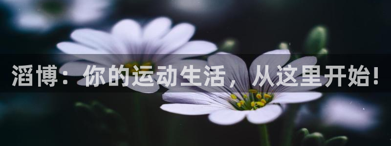 必威betway西汉姆联