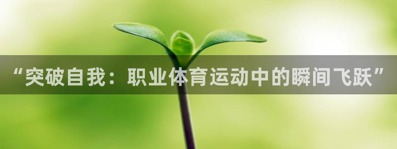必威betway西汉姆联