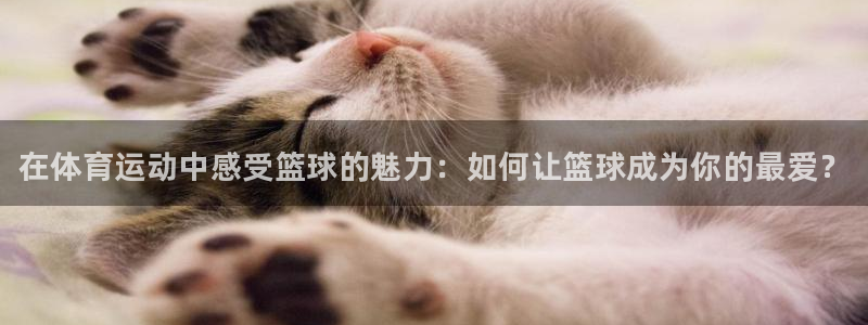 betway西汉姆联