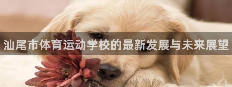 betway西汉姆联