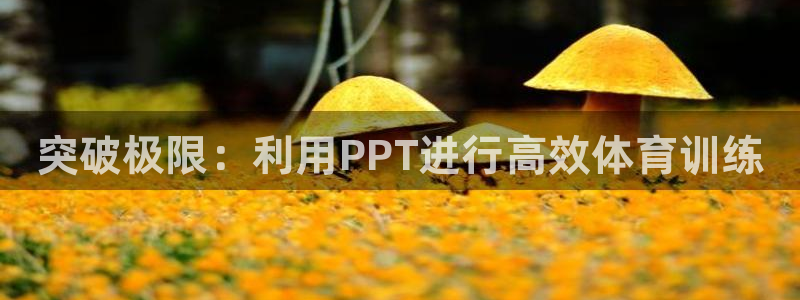 betway西汉姆联官网