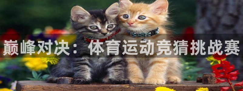 betway西汉姆官网