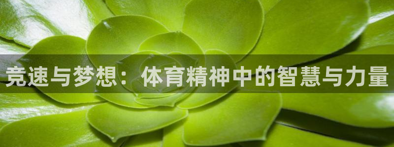 betway西汉姆联