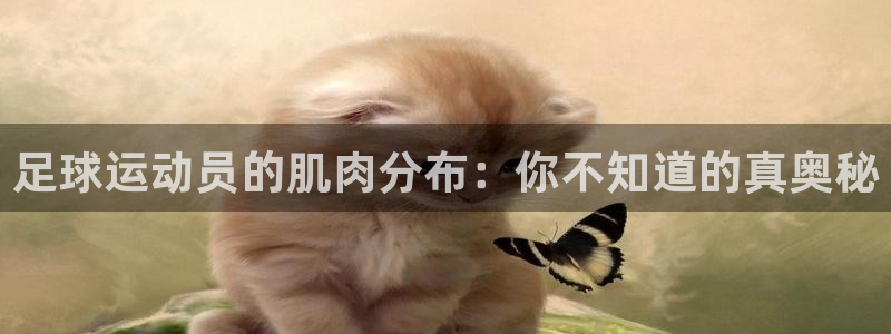 betway西汉姆联官网