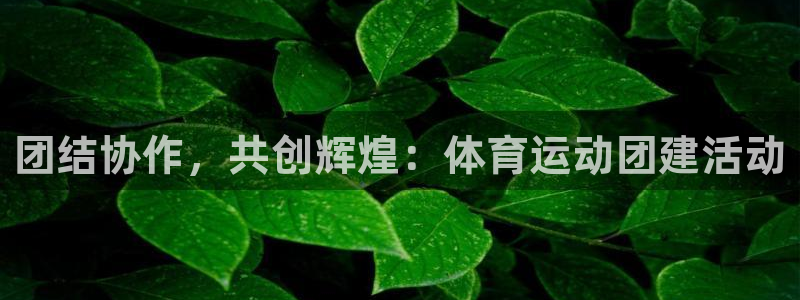 betway西汉姆联