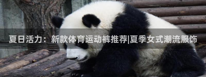 betway西汉姆联官网