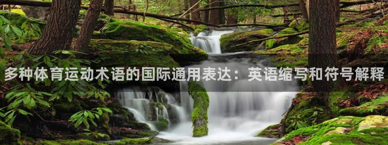 必威betway西汉姆联