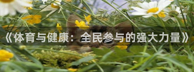 必威betway西汉姆联