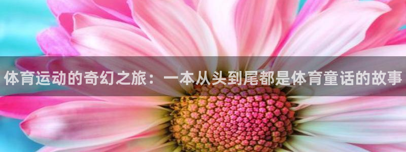 betway西汉姆联