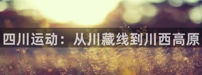 betway西汉姆联