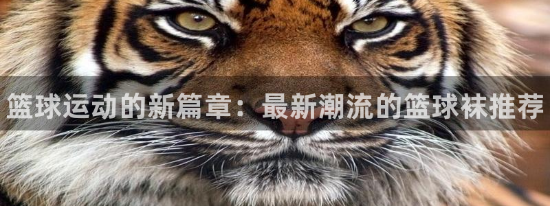betway西汉姆